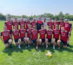 Image result for Parnells Gaelic Football Club