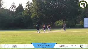 Image result for Lingfield Cricket Club