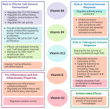 Image result for %D0%B6%D0