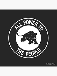 Afbeeldingsresultaat voor panters