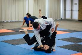 Image result for Beeches Martial Arts