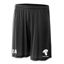 Image result for Stirling Clansmen