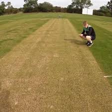 Image result for St Margaretsbury Cricket Club