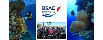 Image result for Meadurst Sub-Aqua Club