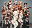 cats the play