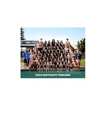 Image result for Grimsby Penguins Swimming Club