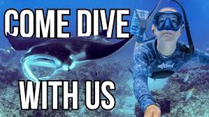 Image result for Great Western Divers