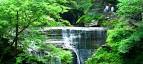 Finger Lakes Waterfalls