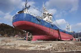 Image result for 耐震 大津波無力