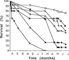 Attēlu rezultāti vaicājumam “Lopinga achine underside”