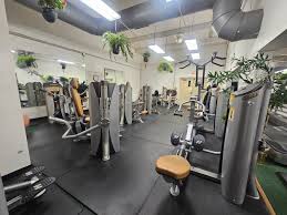 Image result for Notts Bigwood Gym Club