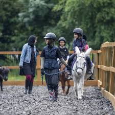 Image result for Liverpool Equestrian Club