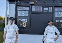 Image result for Yelverton Bohemians Cricket Club