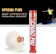 Image result for Chalfont Gut & Feather Badminton Club