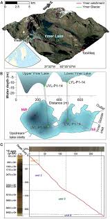Attēlu rezultāti vaicājumam “Licea minima”
