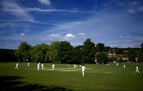 Image result for Cranleigh Cricket Club