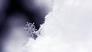 Image result for schnee
