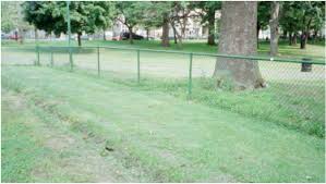 Image result for Greenacres Bowling Club