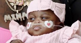 Image result for Maclaren Twin Triumph Heidi Klum