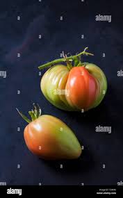 Afbeeldingsresultaat voor black oxheart tomato