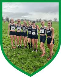 Image result for Deeside Aac