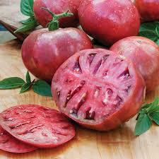 Afbeeldingsresultaat voor 1884 purple tomato