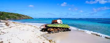 Image result for culebra beach tank