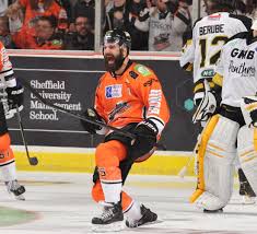 Image result for Sheffield Steelers