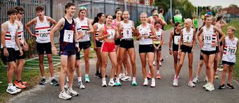 Image result for Lincoln Wellington Ac