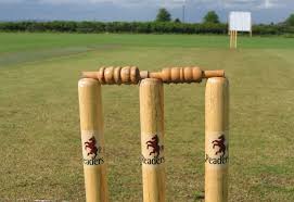 Image result for Ballinger Waggoners Cricket Club