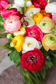 Attēlu rezultāti vaicājumam “Ranunculus bulbosus flower”