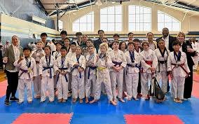 Image result for Reading Wtf Taekwondo