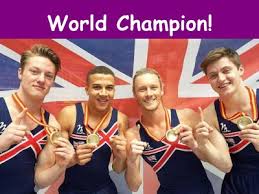 Image result for Harlequins Gymnastics Club