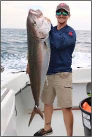 Image result for Seriola dumerili