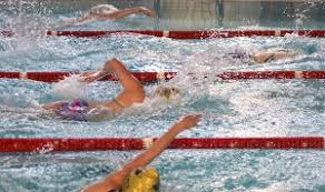 Image result for Kingsbridge Kingfishers Swimming Club