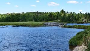 Image result for Sudbury Gc