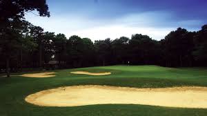 Image result for Falmouth and Helston Octopush Club