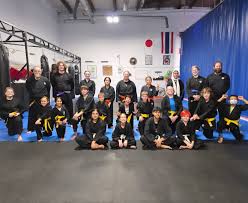 Image result for Okami Karate & Fitness Schools