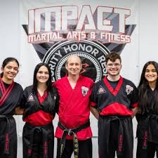 Image result for Impact Martial Arts