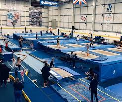 Image result for Olga Gymnastics and Trampolining Club