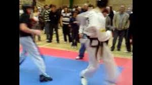 Image result for Han Wong Tae Kwon Do Academy