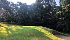 Image result for Puttenham Golf Club