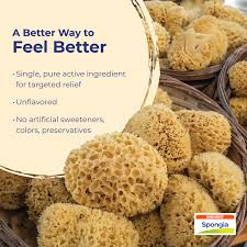 Attēlu rezultāti vaicājumam “Spongia”