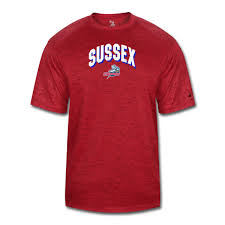 Image result for Sussex Thunder