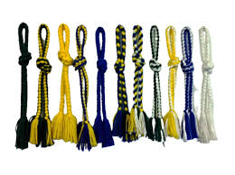 Image result for Cordao De Ouro Capoeira