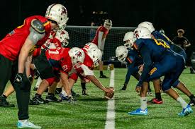 Image result for Birmingham University Lions