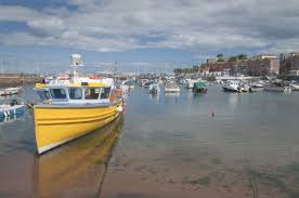 Image result for Paignton Cc