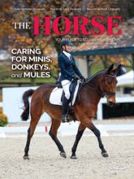 Image result for Reading University Riding Club