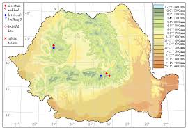 Attēlu rezultāti vaicājumam “Barbilophozia kunzeana”