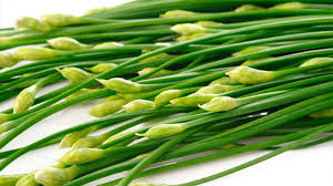 Image result for Schnittknoblauch